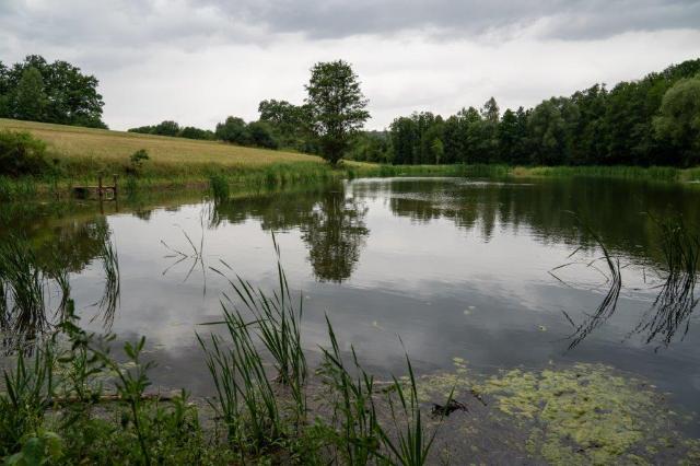Naturteich eingebettet in die Landschaft bei Mengersdorf