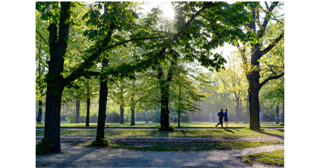 Sport vor Ort