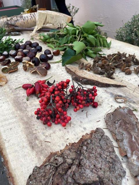 Tisch mit verschiedenen herbstlichen Beeren, Blättern und Rinde