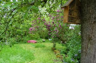 Blick in einen naturnahen Garten