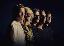 Marius Neset »Cabaret«