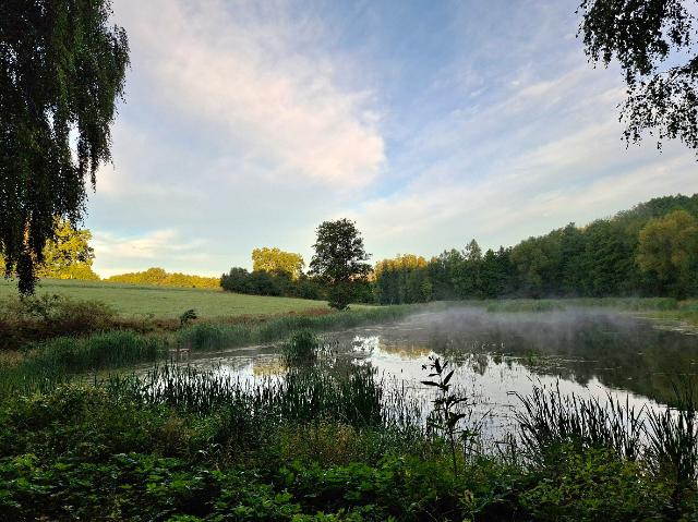 Weiher vom I.B. Platz aus