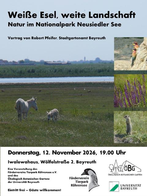 Plakat zum Vortrag zum Neusiedler See mit Eseln, weiter Landschaft, Pflanzen und Zieseln