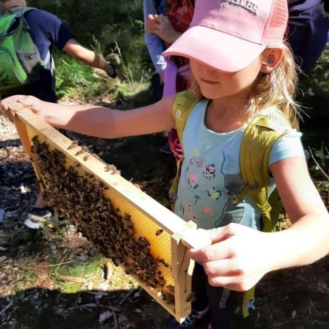 Kind mit Bienenwaben