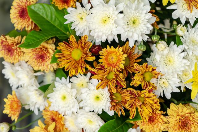 Blumenarrangement mit Chrysanthemen