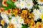 Blumenarrangement mit Chrysanthemen