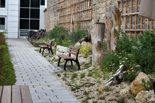Insektenfreundliche Beete mit Totholz, Wildblumen und Sandarium