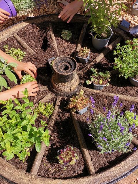 Ein altes Wagenrad liegt auf der Erde. In den einzelnen Segmenten zwischen den Speichen sind Kräuter eingepflanzt. Mehrere Kinderhände arbeiten an dem Beet. 