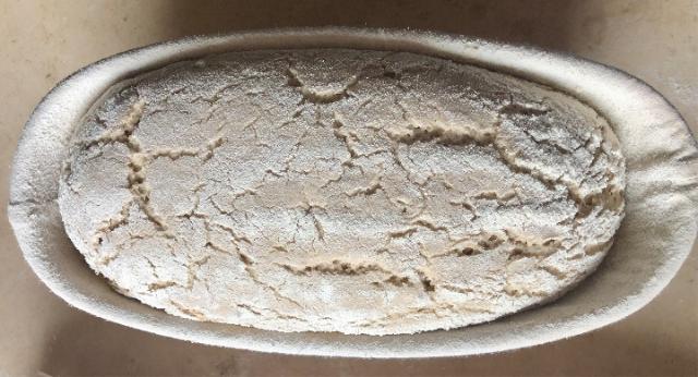 Roggen-Natursauerteig für Bauernbrot