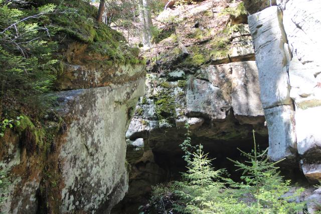Mitten in einer kleinen Sandsteinschlucht mit Blick auf eine Höhle. Felsen sind verwittert, mit Moos, Flechten und Nadelgehölz bewachsen