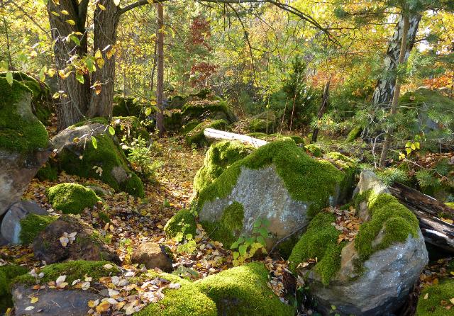 Gesteine im Ökologisch-Botanischen Garten erzählen von der Erdgeschichte der Region Nordostoberfranken.