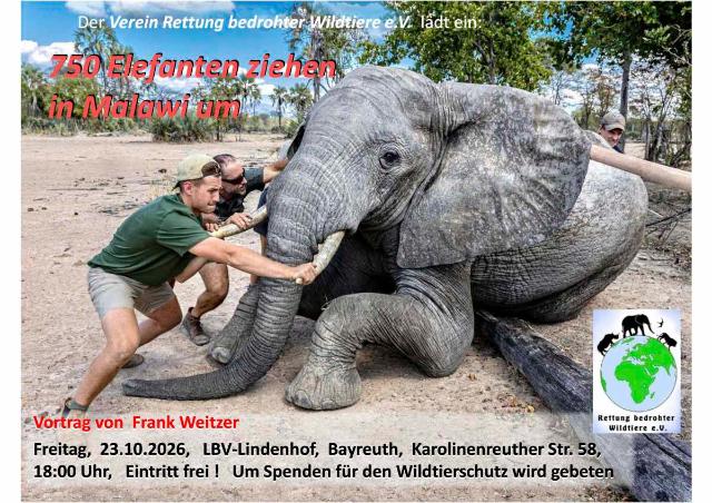 Elefant und Menschen