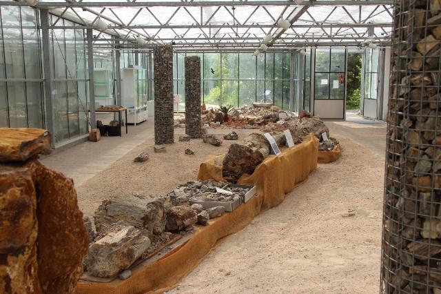 Blick in die Ausstellung der Paläobotanischen Sammlung Rossmann