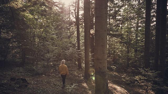 Achtsamer Silent Breathwalk in der Natur bei Bayreuth mit bewusster Atemarbeit und stiller Meditation für Frauen.