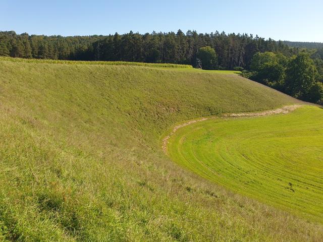 Zu sehen ist ein Hang in der prallen Sonne.