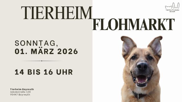 Das Bild stellt den Werbeflyer des Flohmarktes dar und zeigt neben einem Tierfoto das Datum, die Uhrzeit und den Ort sowie das Logo des Tierschutzvereins.