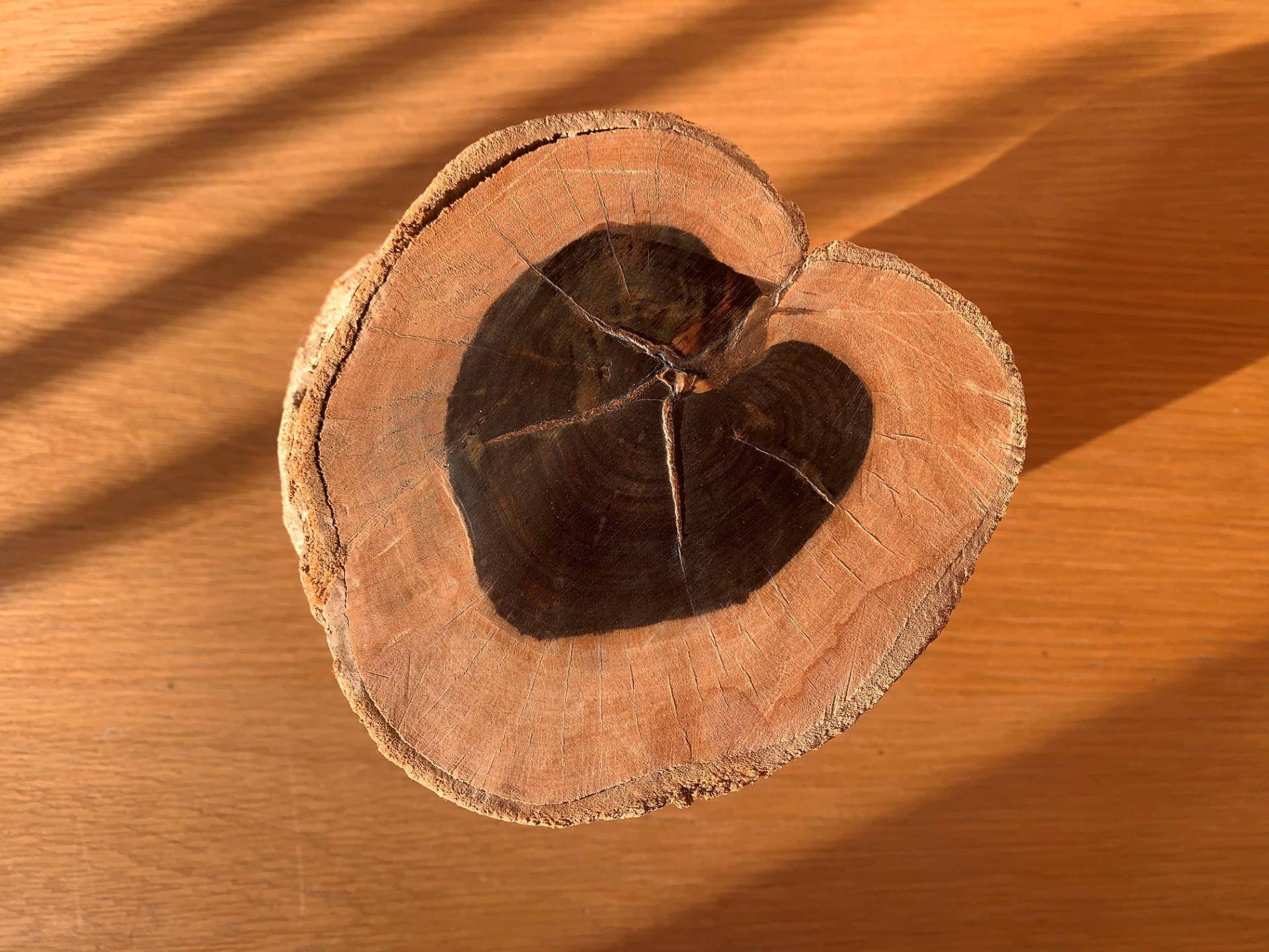 Ebenholz