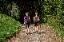 Zwei Frauen laufen einen Waldweg mit Nordic Walking Stöcken entlang. 
