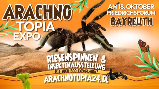 Spinnenausstellung