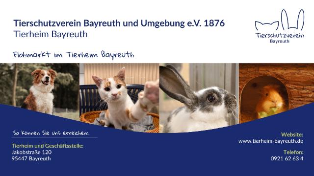 Auf dem Bild ist oben links der Name des Trägervereins und das Tierheim genannt. Rechts oben befindet sich das Logo des Vereins. In der Mitte sind vier Fotos von Tieren aus dem Tierheim. Unten befindet sich die Adresse, die Internetadresse und die Telefonnummer des Tierheims.