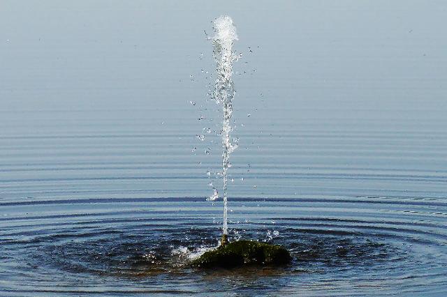 Eremitage, Kanalgarten, Wasserfontäne