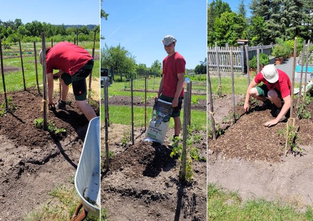 Hacken, mulchen, gießen: Gärtnern im Klimawandel