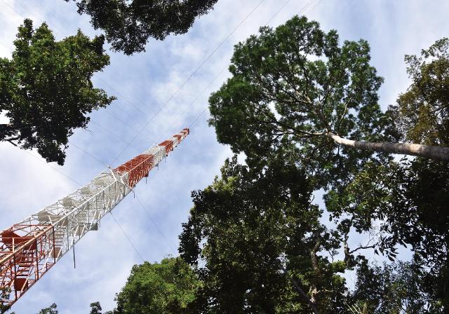 ATTO, das Amazon Tall Tower Observatory ist ein 325m hoher Forschungsturm im brasilianischen Regenwald.
