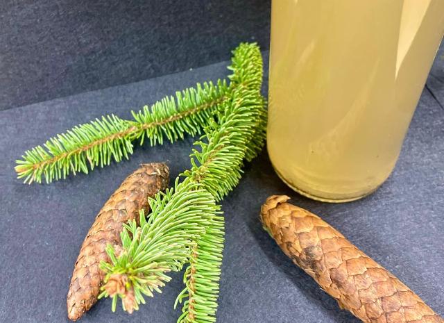 Fichtezweig und Fichtenzapfen mit Flasche im Hintergrund