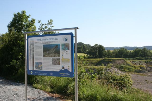 Die Tongrube Mistelgau - Schatztruhe des Jurameeres