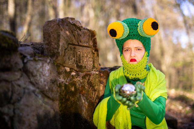 Plakat Der Froschkönig