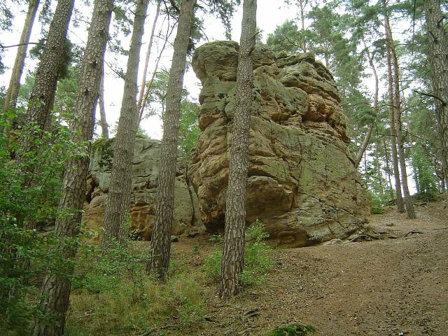 Fels am Buchstein mit Bäumen davor