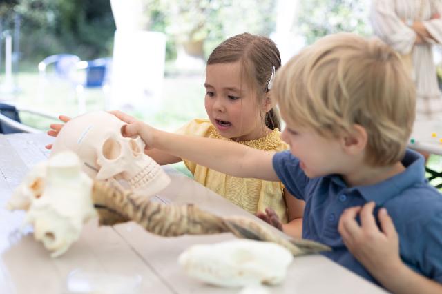 Kinder erkunden mit den Händen Schädel