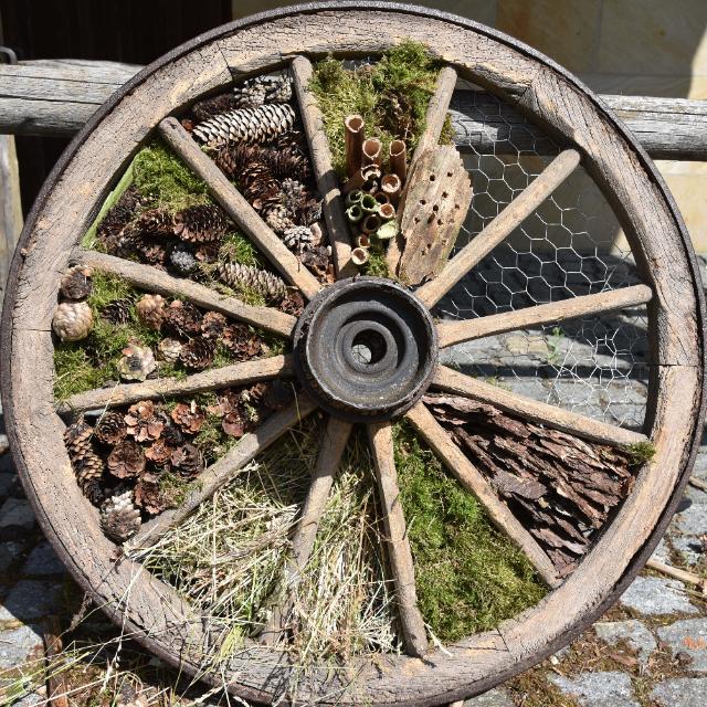 In einem hölzernen Wagenrad sind die verschiedenen Segmente mit Nisthilfen für Insekten gefüllt.