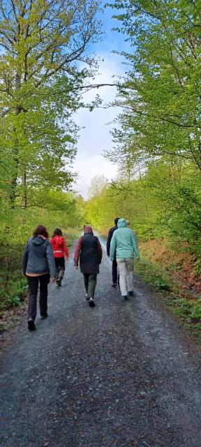 Gruppe beim Walken von hinten
