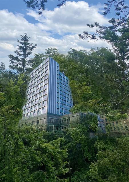 Das Bayreuther Rathaus wird vom Wald überwuchert