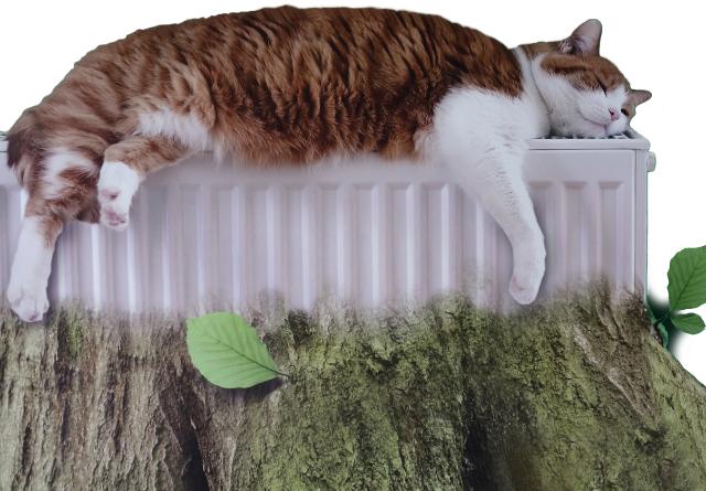 Eine rote, schlafende Katze liegt auf einer Heizung die aus einem Baumstumpf wächst.