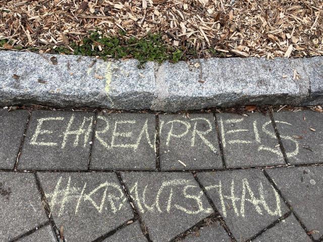 Ehrenpreis wächst aus Plastersteinfugen heraus