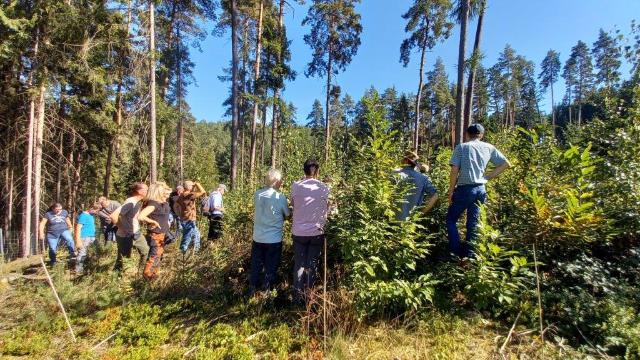 Gruppe von Menschen schaut sich den Wald an