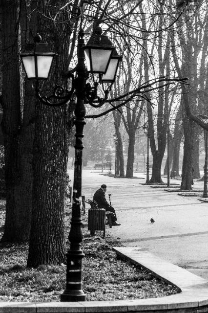 Ein Park, der leer ist, außer einer Person, die auf einer Bank sitzt. Schwarz-weiß.
