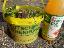 Honigtopf, Essigflasche und Wildkräuter