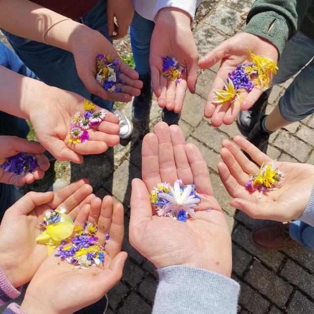 Kinderhände halten im Kreis ihre offenen Handflächen nach oben. Auf den Handflächen liegen viele bunte Blüten. 