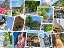Viele kleine Fotos von unterschiedlichen Aspekten Bayreuths sind zu einer Collage zusammengefügt.