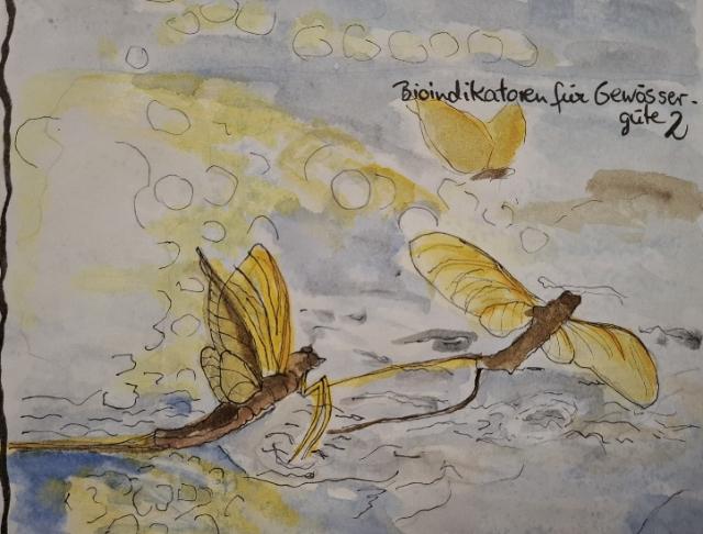 Aquarell schlüpfender Eintagsfliegen im Abendlicht