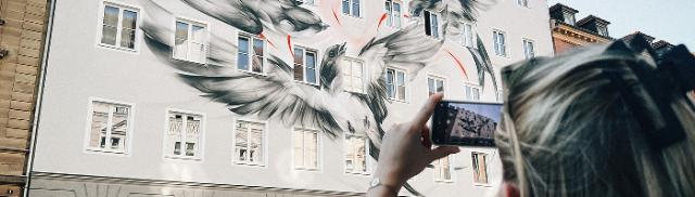 Grafitti von Vögeln an einer Hauswand