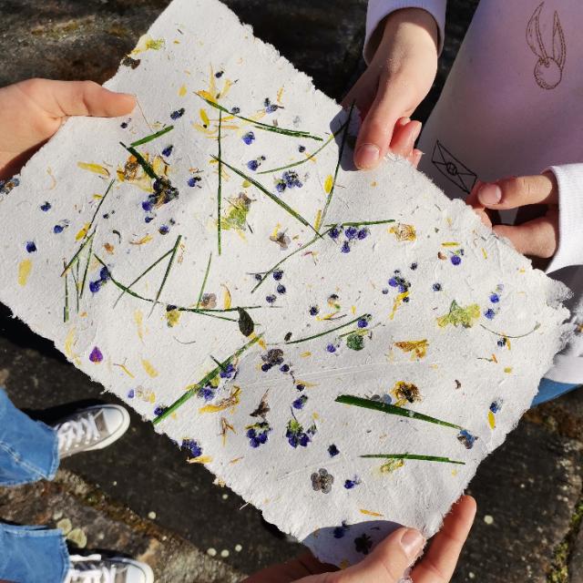 Kinderhände halten ein weißes Blatt Papier,  in welches verschiedene Blüten und Gräser gepresst sind. 