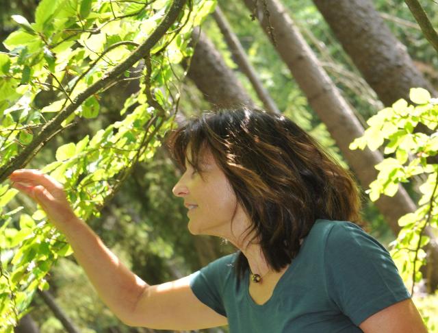 Profifoto ich unter junger Buche