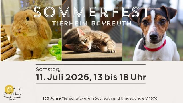 Auszug aus dem Flyer des Sommerfestes