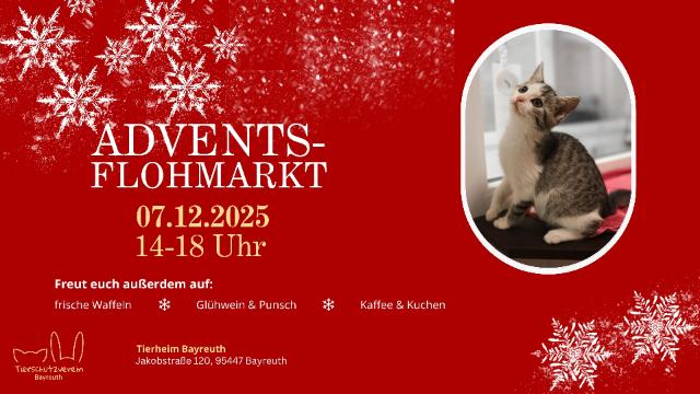 Auf dem Bild ist die Werbung für den Adventsflohmarkt mit Angabe von Ort und Zeit abgebildet.