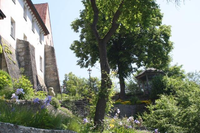 Blick auf die Terassengärten in Hollfeld mit Bepflanzung